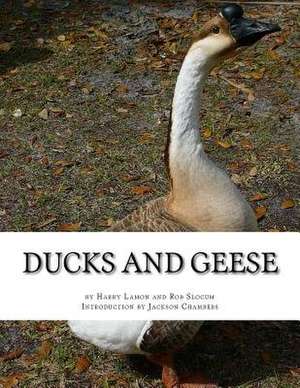 Ducks and Geese de Harry Lamon