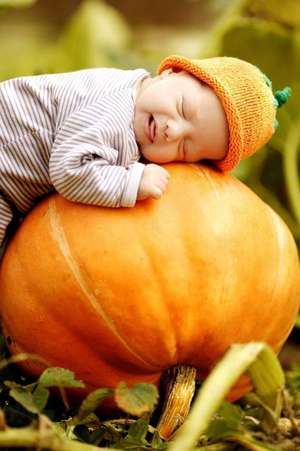 Baby Sleeping on a Pumpkin at the Pumpkin Patch Journal de Cs Creations