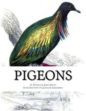 Pigeons de Prideaux John Selby