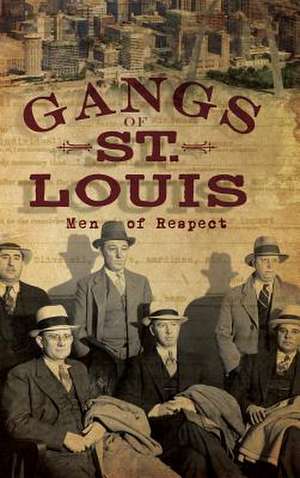 Gangs of St. Louis de Daniel Waugh