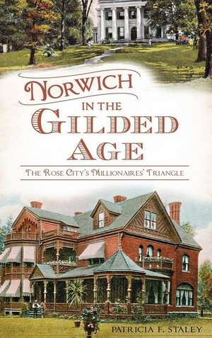 Norwich in the Gilded Age: The Rose City's Millionaires' Triangle de Patricia F. Staley