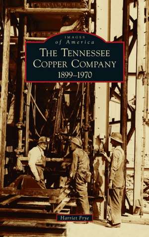 Tennessee Copper Company: 1899-1970 de Harriet Frye