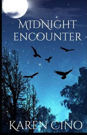 Midnight Encounter de Karen Cino