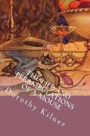 The Life and Perambulations of a Mouse de Dorothy Kilner