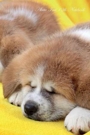 Akita Inu 12th Notebook de Beauty, Breeds of