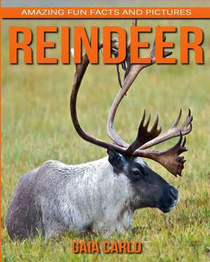 Reindeer de Carlo, Gaia