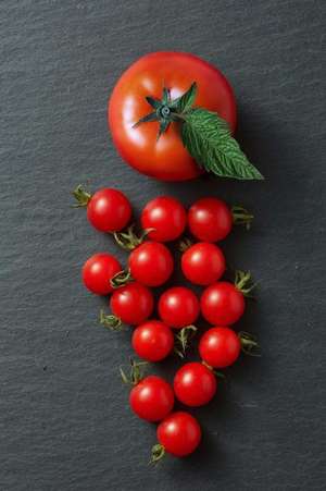 Cherry Tomato Love Journal de Press, Benton