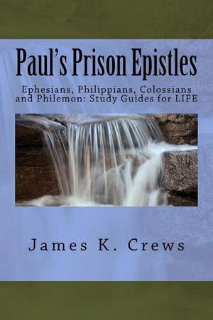 Paul's Prison Epistles de James K. Crews