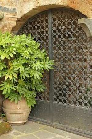 Lush Large Plant in a Terracotta Pot and a Decorative Iron Gate Journal de Cs Creations