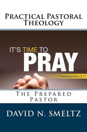 Practical Pastoral Theology de Dr David N. Smeltz Sr