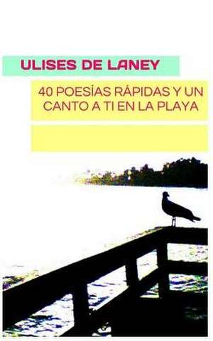 40 Poesias Rapidas y Un Canto a Ti En La Playa de De Laney, Ulises