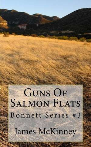 Guns of Salmon Flats de MR James L. McKinney