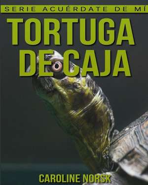 Tortuga de Caja de Caroline Norsk