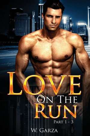 Love on the Run de W. Garza