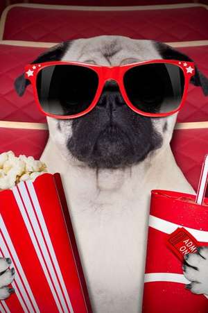 Pug Dog at the Movies Journal de Cool Image