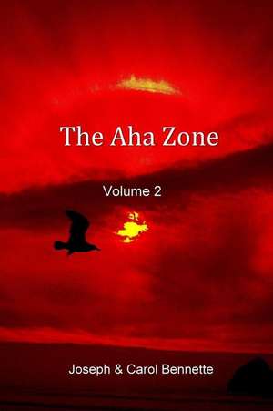 The AHA Zone de Joseph Bennette