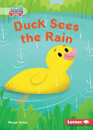 Duck Sees the Rain de Margo Gates