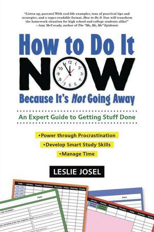 How to Do It Now Because It's Not Going Away de Leslie Josel