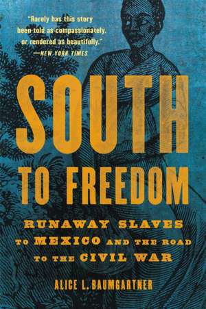 South to Freedom de Alice L Baumgartner