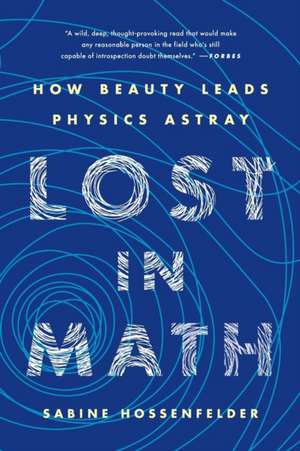 Lost in Math de Sabine Hossenfelder