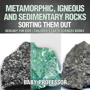 Metamorphic, Igneous and Sedimentary Rocks de Baby