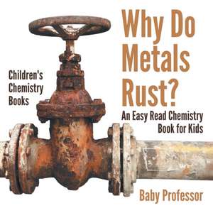 Why Do Metals Rust? An Easy Read Chemistry Book for Kids | Children's Chemistry Books de Baby