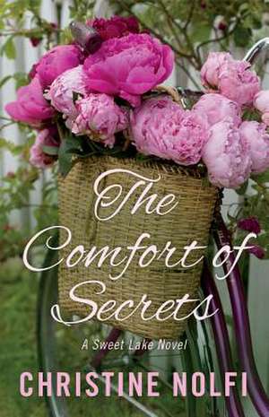 The Comfort of Secrets de Christine Nolfi