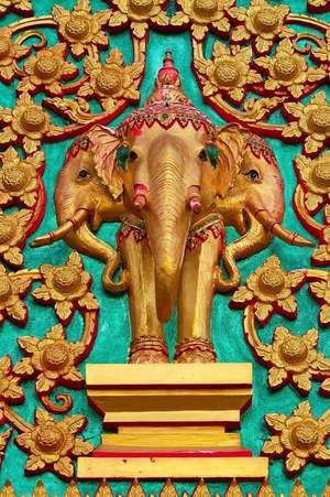 Golden Elephant Carving on a Temple Door in Thailand Journal de Cs Creations