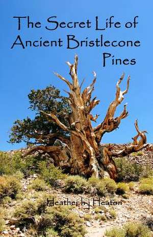 The Secret Life of Ancient Bristlecone Pines de Heaton, Heather H.