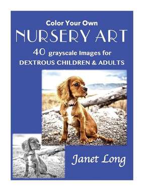 Color Your Own Nursery Art de Long, Janet W.