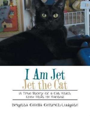 I Am Jet Jet the Cat de Brigitta Gisella Geltrich-Ludgate