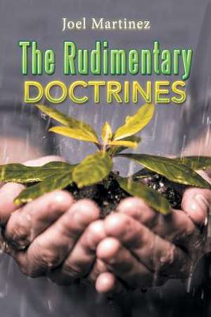 The Rudimentary Doctrines de Joel Martinez