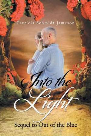 Into the Light de Patricia Schmidt Jameson