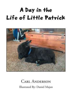 A Day in the Life of Little Patrick de Carl Anderson