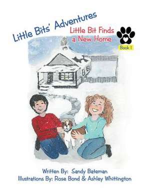 Little Bits' Adventures de Sandra Bateman