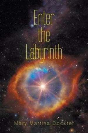 Enter the Labyrinth de Mary Martina Dockter