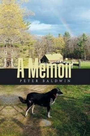 A Memoir de Peter Baldwin