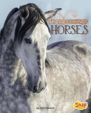 Thoroughbred Horses de John Diedrich