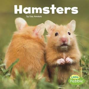 Hamsters de Lisa J. Amstutz