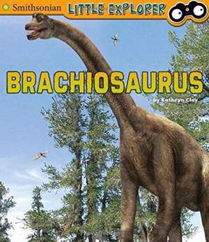 Brachiosaurus de Kathryn Clay