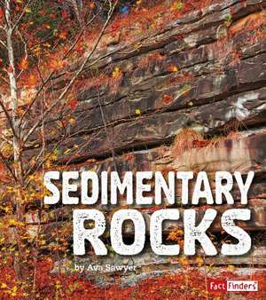 Sedimentary Rocks de Sawyer, Ava