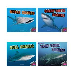 All about Sharks de Deborah Nuzzolo