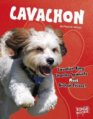 Cavachon: Cavalier King Charles Spaniels Meet Bichon Frises! de Paula M. Wilson