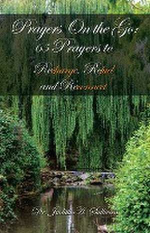 Prayers on the Go de Judith A. Sullivan