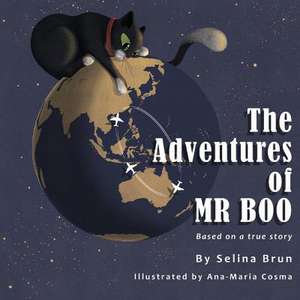 The Adventures of MR Boo: Volume 1 de Selina Brun