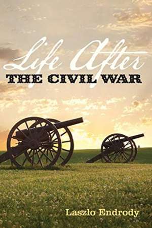 Life After the Civil War: Volume 1 de Laszlo Endrody