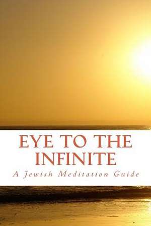 Eye to the Infinite de Rubin, Aharon