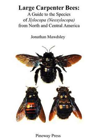 Large Carpenter Bees de Mawdsley, Jonathan