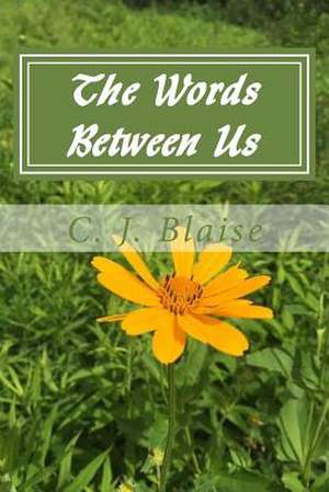 The Words Between Us de Blaise, C. J.