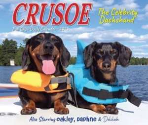 Crusoe the Celebrity Dachshund 2025 6.2 X 5.4 Box Calendar de BOX